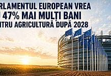 Cu 47% mai mulți bani europeni pentru agricultură după 2028. Ce înseamnă asta pentru fermierii din România