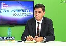 Emil Dumitru, despre un posibil mandat la MADR: „Sunt pregătit să coordonez activitatea”