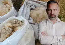Fabrica de lână care poate schimba oieritul din România: soluție pentru „deșeul” ignorat de ani de zile