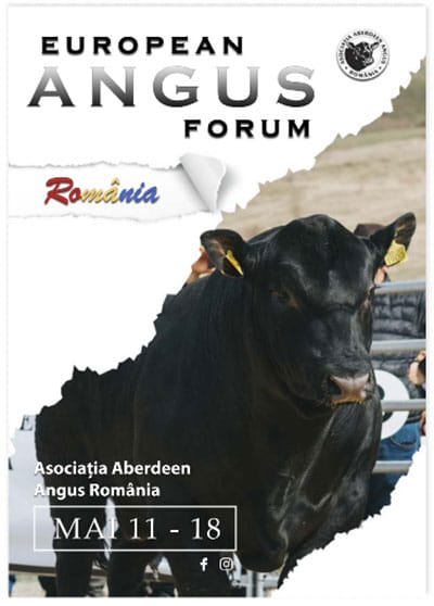 Licitație cu tauri din rasa Aberdeen Angus în cadrul European Angus Forum 2026 Evenimente Aberdeen Angus
