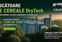 De la recoltă la vânzare, indiferent de vreme: cum a preluat TUTU TRANS controlul calității cerealelor cu tehnologie poloneză de uscare