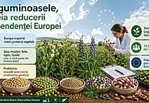 Europa reinvestește în soia, mazăre și linte. Fermierii români, printre primii beneficiari