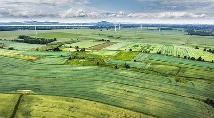 Se schimbă regulile pentru terenurile agricole ale statului! Unde vor putea apărea parcuri fotovoltaice