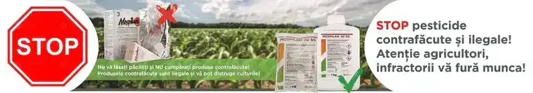 Pledge 50 WP – erbicid de încredere pentru controlul buruienilor din cultura de soia Advertorial Pledge 50 WP