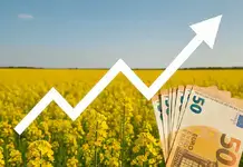 Rapița, pariul câștigător pentru fermieri. „România nu a fost niciodată mai galbenă”