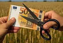 Două categorii de fermieri, în pericol să rămână fără subvenție și în 2026