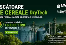De la recoltă la vânzare, indiferent de vreme: cum a preluat TUTU TRANS controlul calității cerealelor cu tehnologie poloneză de uscare