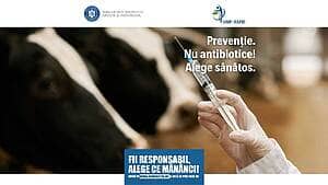 Antibioticele folosite în ferme pot ajunge să ne afecteze pe toți. Cum poate fi redus acest risc 2 Antibioticele folosite în ferme pot ajunge să ne afecteze pe toți. Cum poate fi redus acest risc Antibioticele folosite în ferme pot ajunge să ne afecteze pe toți. Cum poate fi redus acest risc Advertorial Antibiotice