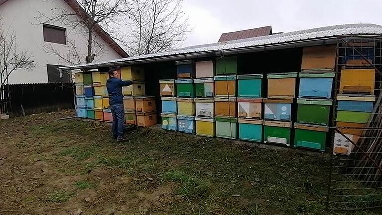 Gustul amar al... mierii – Ce a făcut ca un an cu o producție-record să devină unul dificil pentru apicultori Actualitate apicultori,miere