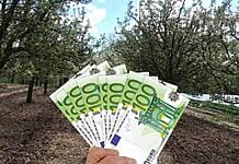 Verificați conturile! Vin despăgubirile de la APIA pentru înghețul târziu!