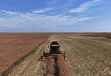Cum au obținut fermierii producții de peste 6 tone/ha la rapiță