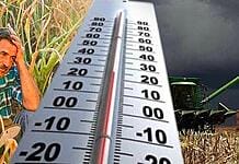 Meteo – Ce regiuni vor fi mai încercate de vreme în următoarele săptămâni