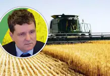 Cerealele ucrainene pun presiune pe transportul feroviar. Fermierii cer urgent intervenția statului român