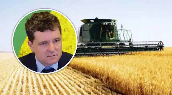 Cerealele ucrainene pun presiune pe transportul feroviar. Fermierii cer urgent intervenția statului român