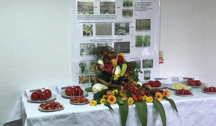 Revoluția roșiei românești are loc la Argeș: Sărbătoarea Tomatelor, puntea dintre laborator si farfurie
