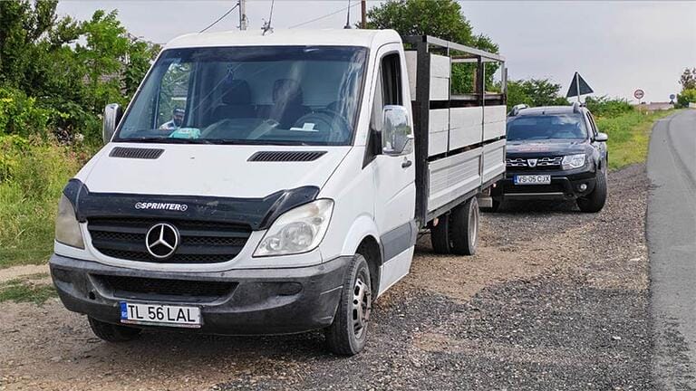 Samsarii de oi nu țin cont de epidemia de pestă: Nou transport ilegal de ovine oprit de inspectorii DSVSA! Stiri agricole transport ilegal de ovine,DSVSA,pesta
