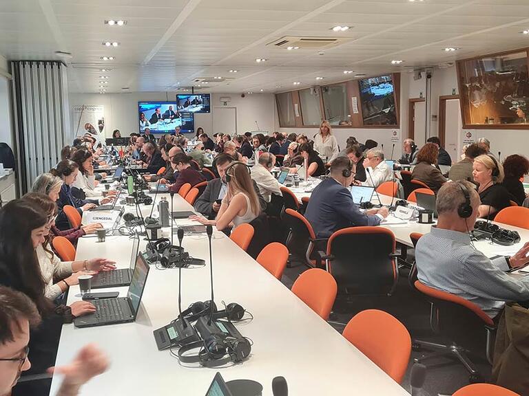 Negocieri capitale la Strasbourg: Fermierii cer UE buget distinct pentru PAC în cadrul financiar multianual 2028-2034 8 Negocieri capitale la Strasbourg: Fermierii cer UE buget distinct pentru PAC în cadrul financiar multianual 2028-2034 Negocieri capitale la Strasbourg: Fermierii cer UE buget distinct pentru PAC în cadrul financiar multianual 2028-2034 Advertorial rapiță