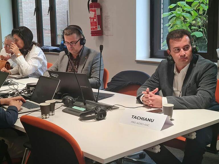 Negocieri capitale la Strasbourg: Fermierii cer UE buget distinct pentru PAC în cadrul financiar multianual 2028-2034 9 Negocieri capitale la Strasbourg: Fermierii cer UE buget distinct pentru PAC în cadrul financiar multianual 2028-2034 Negocieri capitale la Strasbourg: Fermierii cer UE buget distinct pentru PAC în cadrul financiar multianual 2028-2034 Advertorial rapiță